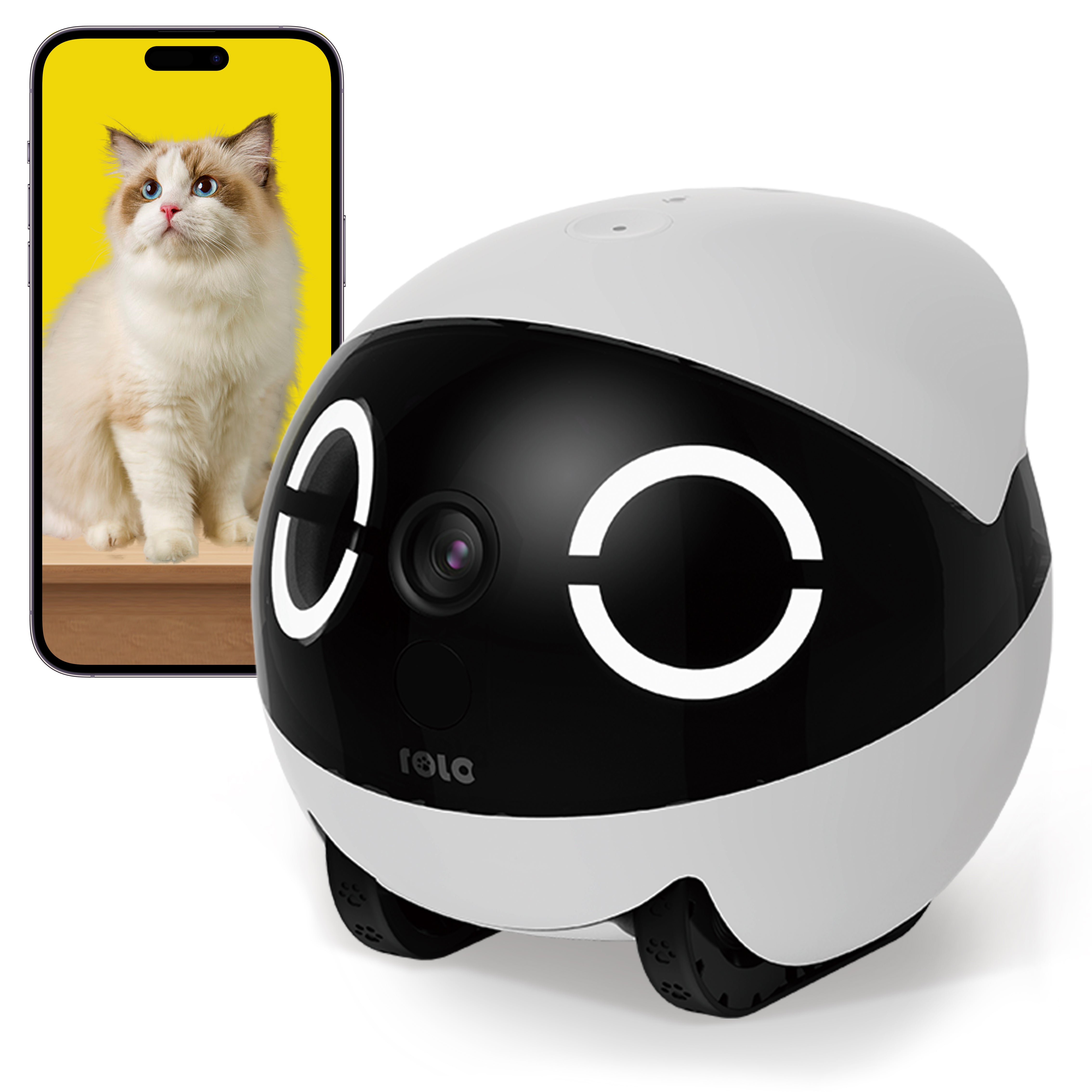 Wireless Camera Robot: Enabot EBO ROLA Mini Battery Powered 2K Pet Cam w/ App Control, Night Vision & Motion Detection